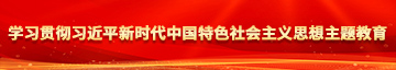 我要操婊网视频网站视频学习贯彻习近平新时代中国特色社会主义思想主题教育