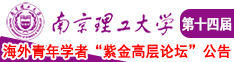 插捏抽操鸡南京理工大学第十四届海外青年学者紫金论坛诚邀海内外英才！